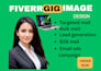 set up email marketing campaigns and automation flows